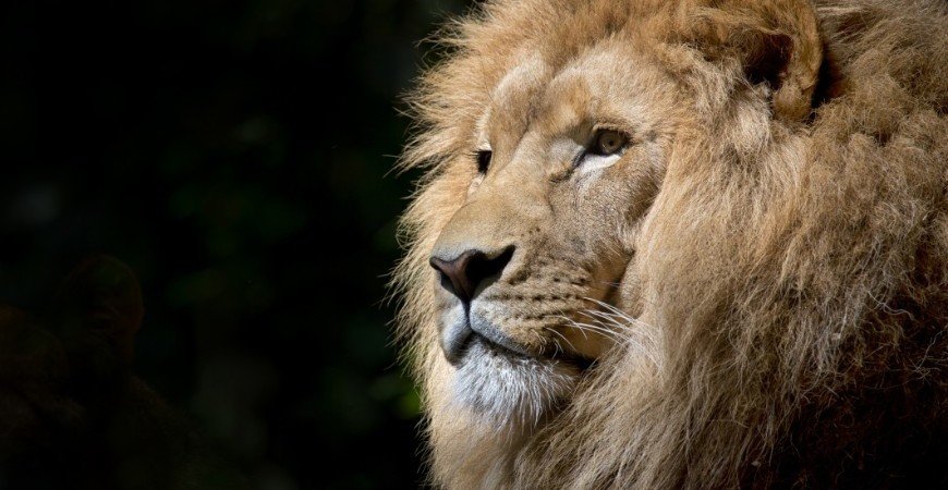 ir-2023:-fisco-esta-de-olho-no-pix-nas-declaracoes-deste-ano