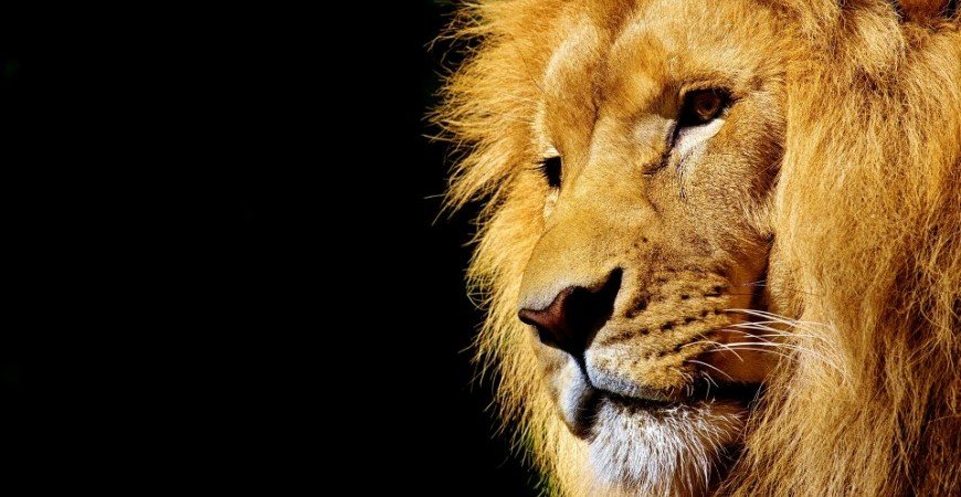 irpf-2023:-prazo-para-entrega-comeca-nesta-quarta-feira-(15)