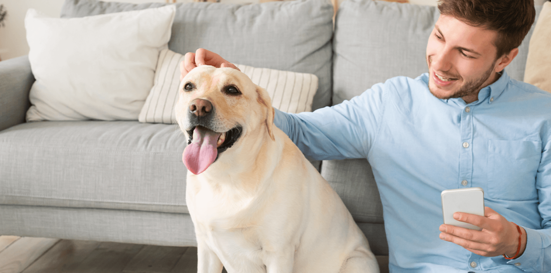 irpf:-projeto-quer-incluir-despesas-de-pets