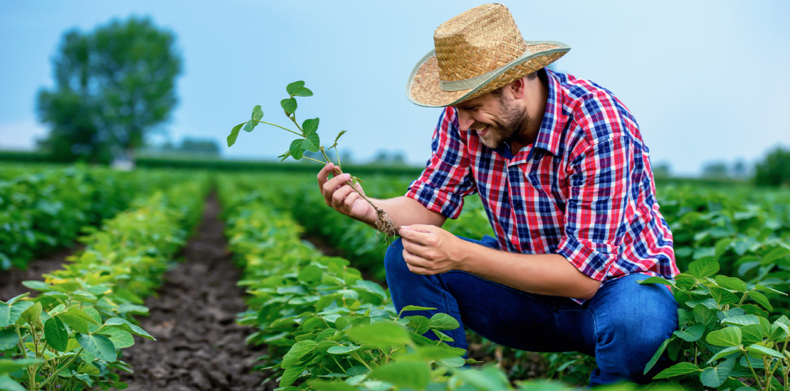 mudanca-na-lei-beneficia-5-milhoes-de-produtores-rurais-com-nfc-e