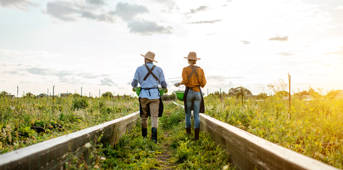 agro-e-incluido-em-programa-de-conformidade-tributaria