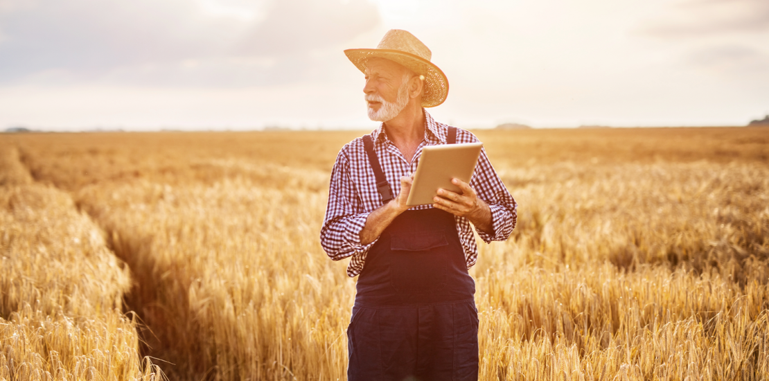 pl-aprovado-prorroga-prazos-para-renegociacao-de-dividas-de-credito-rural