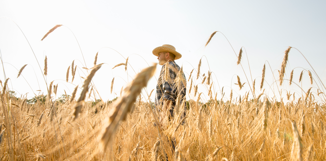 desenrola-brasil-incluira-produtores-rurais