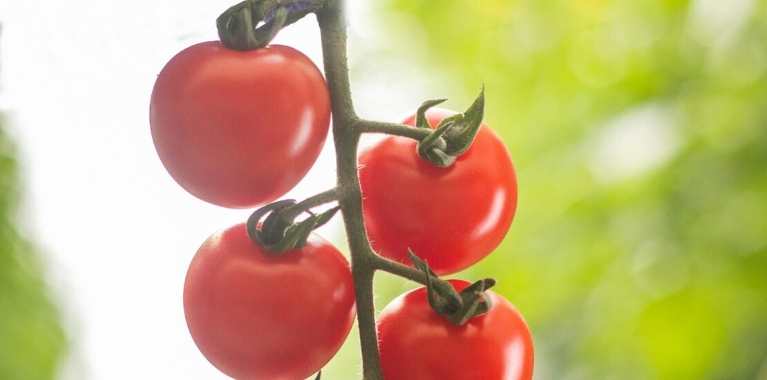 lei-do-bem-completa-18-anos-e-agro-subestima-incentivo-fiscal