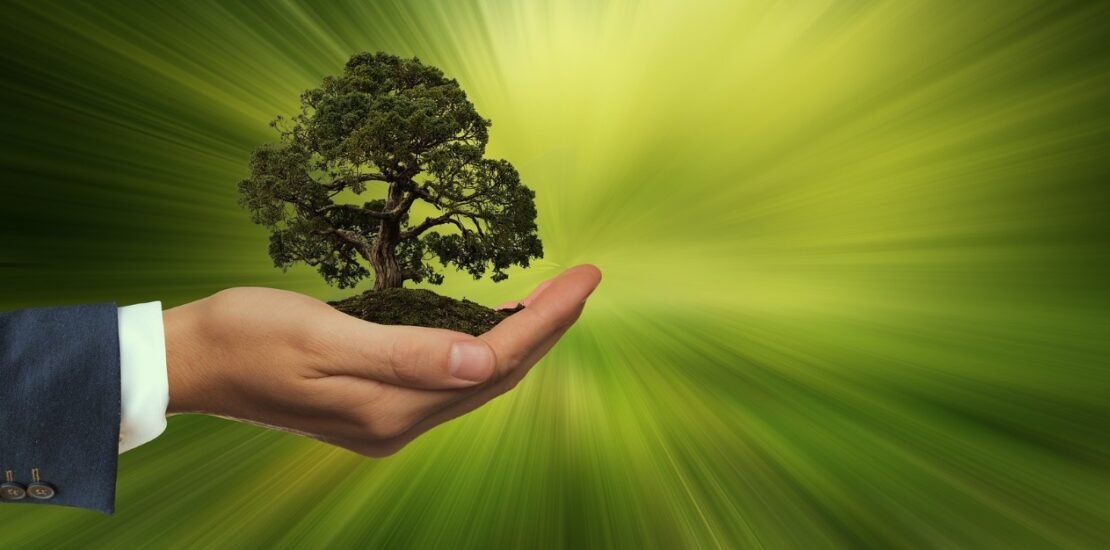 o-papel-dos-titulos-esg-no-crescimento-empresarial