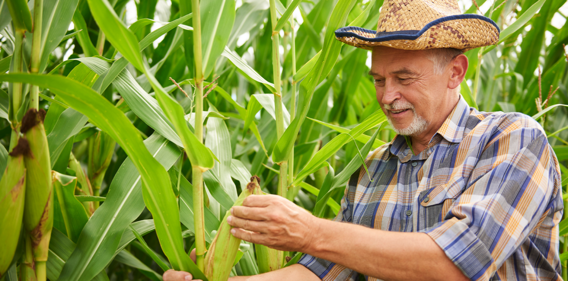 ir:-pl-cria-tabela-para-quem-trabalho-no-campo