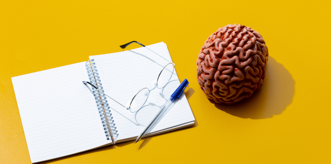 neurociencia-e-o-caminho-para-o-sucesso-profissional