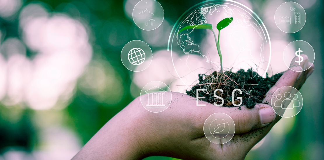 esg:-entenda-a-importancia-para-as-pequenas-empresas