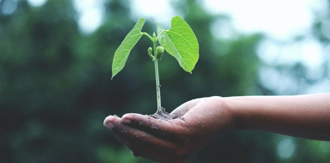 esg-pode-ser-estrategia-eficaz-para-consolidar-escritorios-de-advocacia