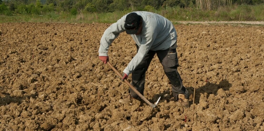 produtores-de-16-estados-poderao-renegociar-dividas-do-credito-rural