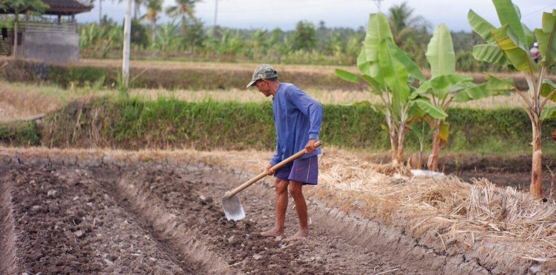 lista-suja-inclui-248-empregadores-e-bate-recorde