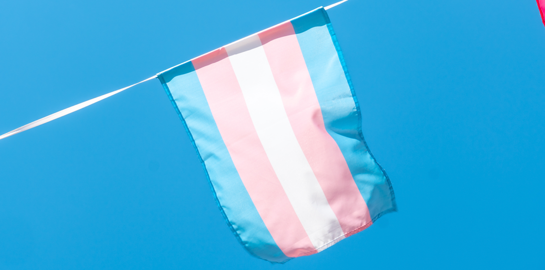 contabilidade:-primeira-trans-recebe-titulo-de-doutorado-na-area