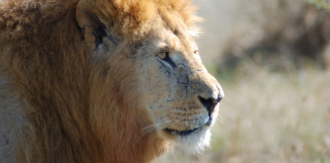 irpf-2024:-mais-de-23-milhoes-de-declaracoes-ja-foram-entregues