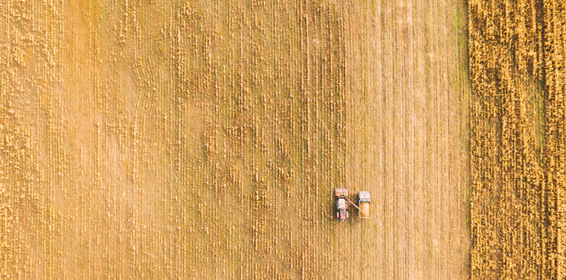 autorizada-renegociacao-de-credito-rural-em-municipios-atingidos-pelas-chuvas