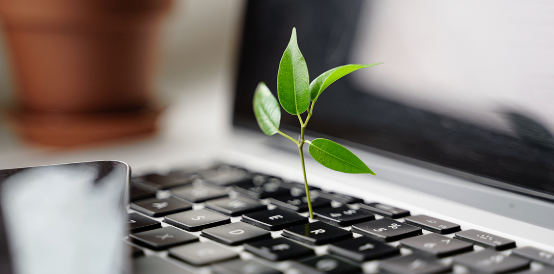 mais-de-30%-das-pmes-ja-adotam-praticas-de-economia-circular