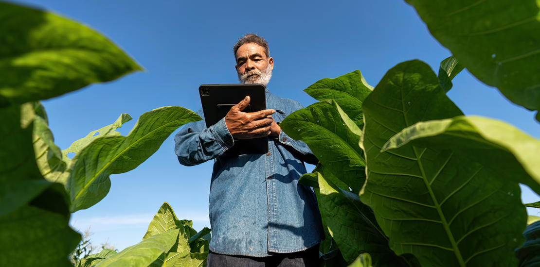 ditr-2024:-prazo-de-envio-da-obrigacao-ja-comecou