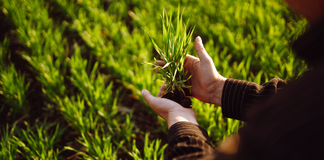 aprovado-pl-que-nao-considera-vinculo-empregaticio-ajuda-entre-produtores-rurais