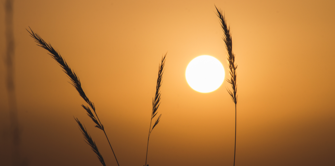 cuidados-para-saude-do-trabalhador-em-tempos-de-seca-e-calor