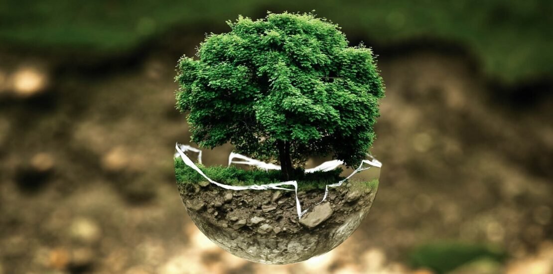 a-tecnologia-tem-papel-importante-na-conservacao-do-meio-ambiente,-afirma-ceo-da-ikhon