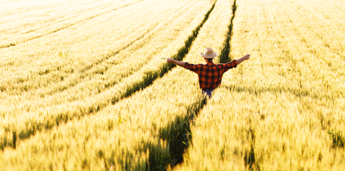 prazo-para-envio-da-ditr-2024-acaba-segunda-feira-(30)