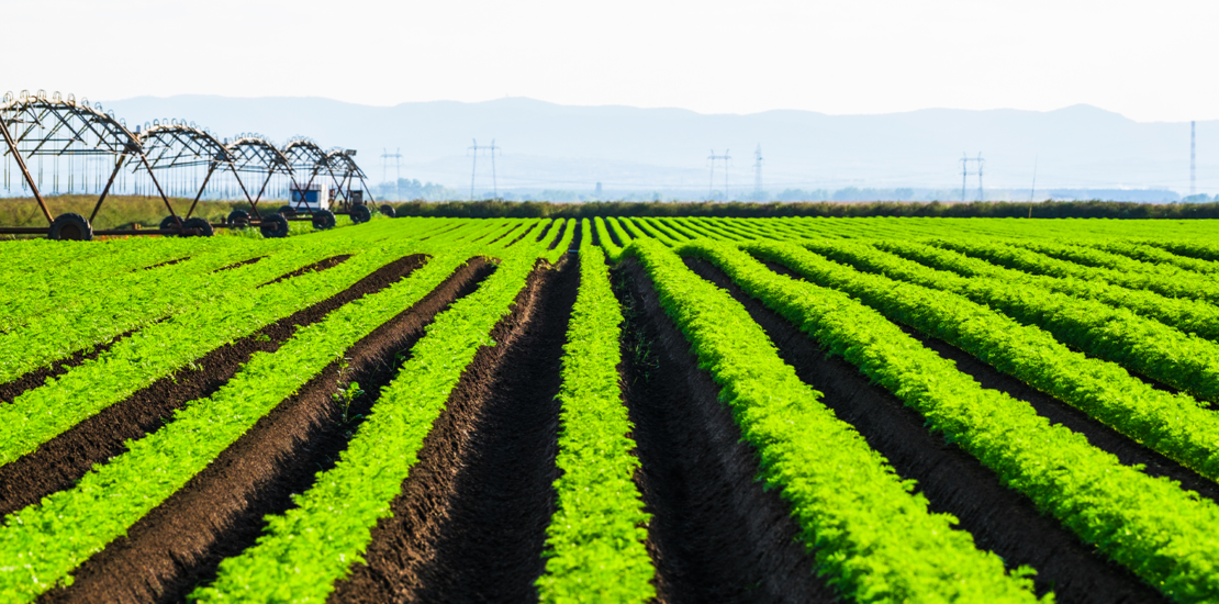 itr:-receita-amplia-integracao-com-municipios-conveniados-na-fiscalizacao