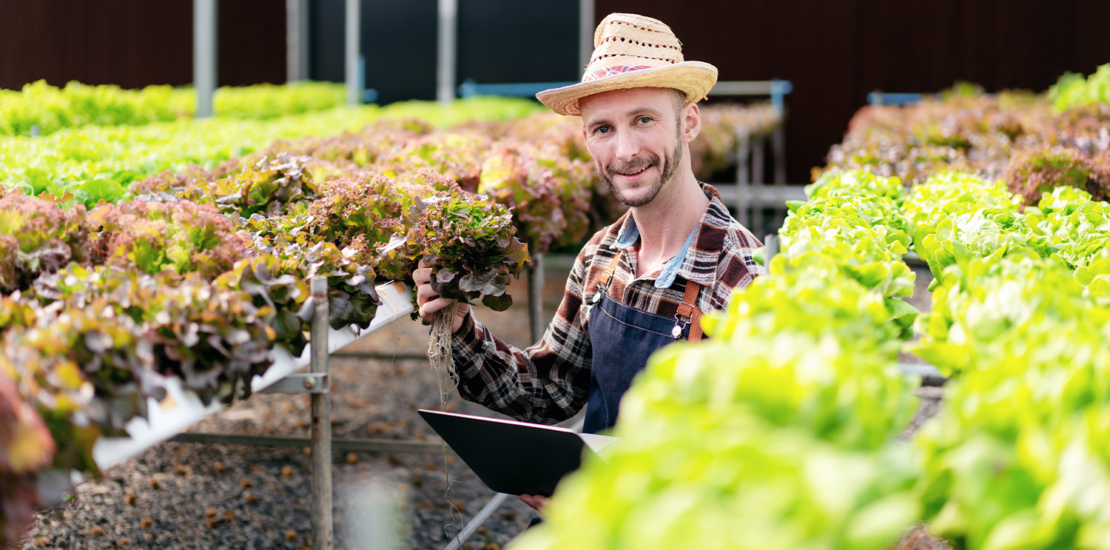 agro:-aprovado-pl-que-concede-isencao-tributaria-para-startups