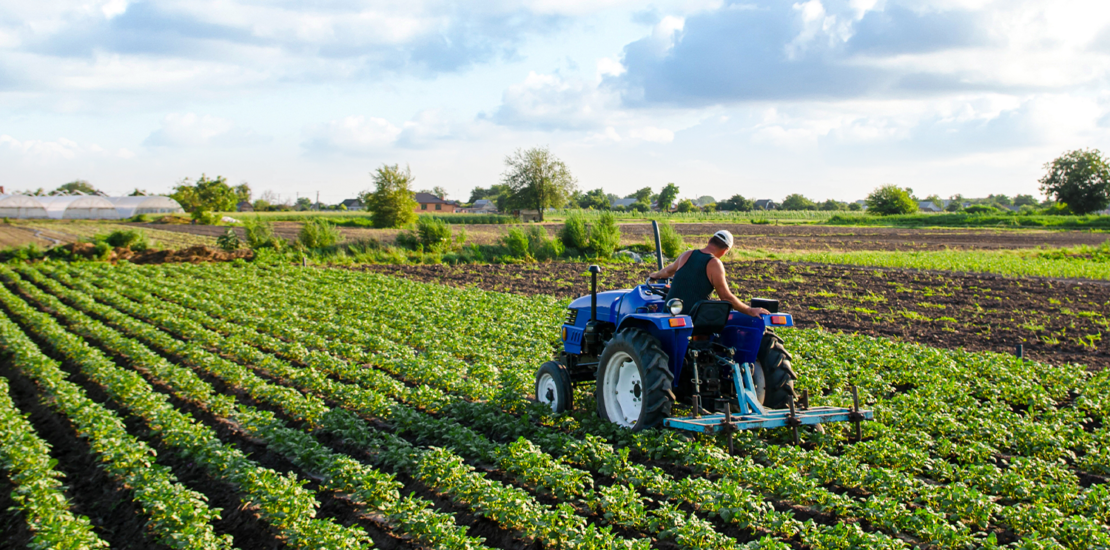 rfb-libera-pagamento-do-itr-via-pix-e-cartao-de-credito