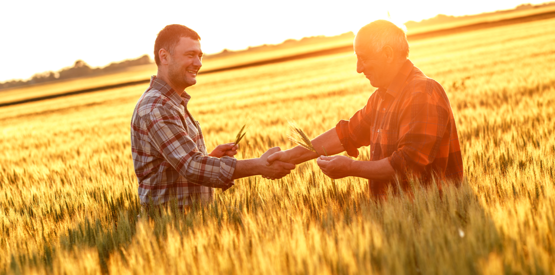 governo-sanciona-lei-que-amplia-credito-do-pronaf-em-ate-r$-500-mi