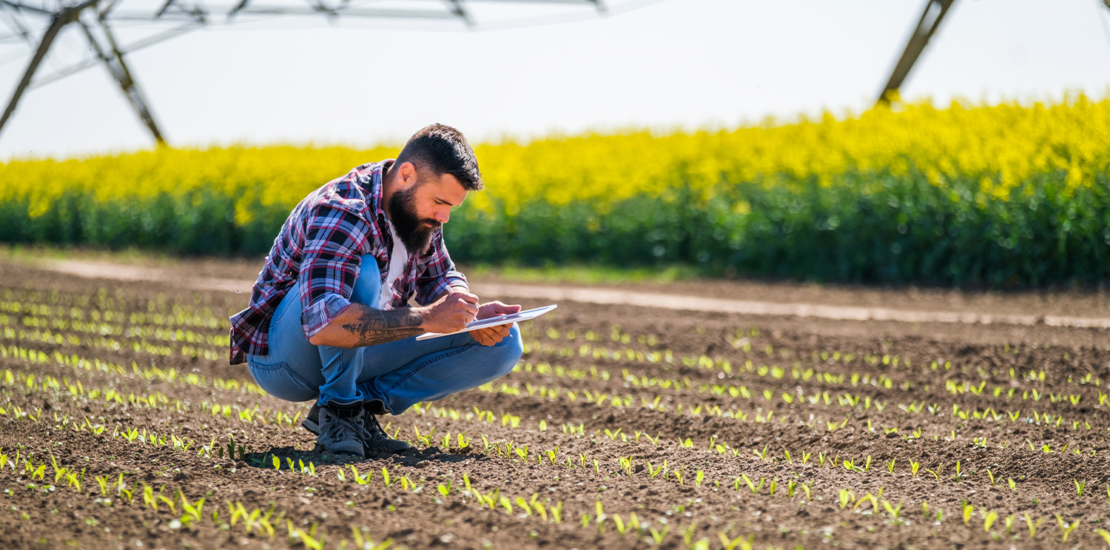 comissao-aprova-uso-de-saldo-do-pis/pasep-para-subvencao-ao-seguro-rural