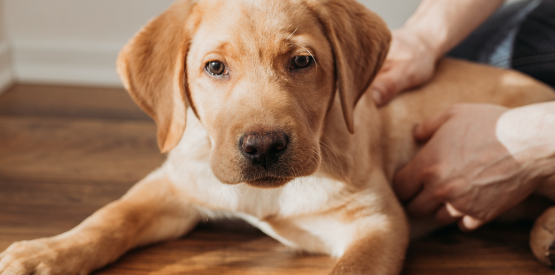 haddad-desmente-fake-news-sobre-impostos