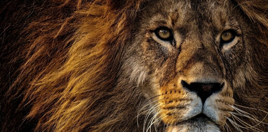 imposto-de-renda-2025:-confira-possiveis-mudancas