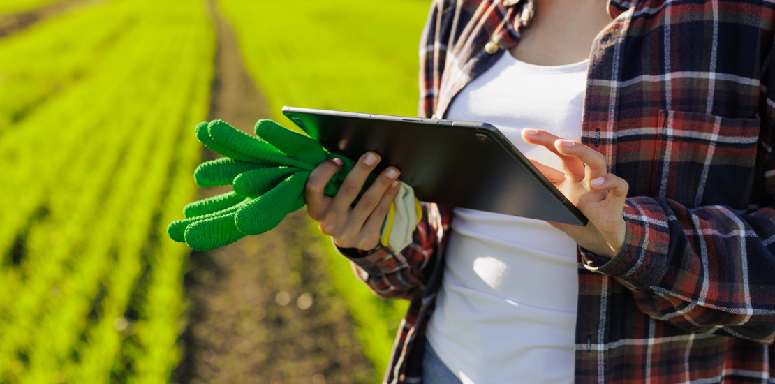 nf-e-sera-obrigatoria-para-produtores-rurais-ja-em-fevereiro