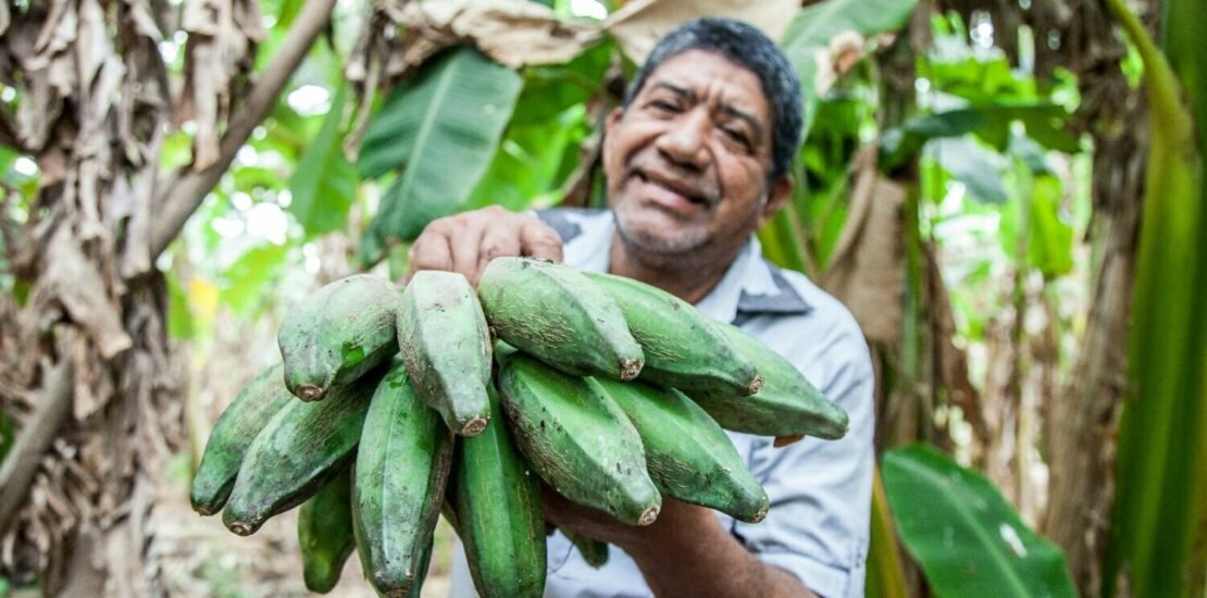 nf-e-e-nfc-e-sera-obrigatoria-para-produtor-rural-em-fevereiro