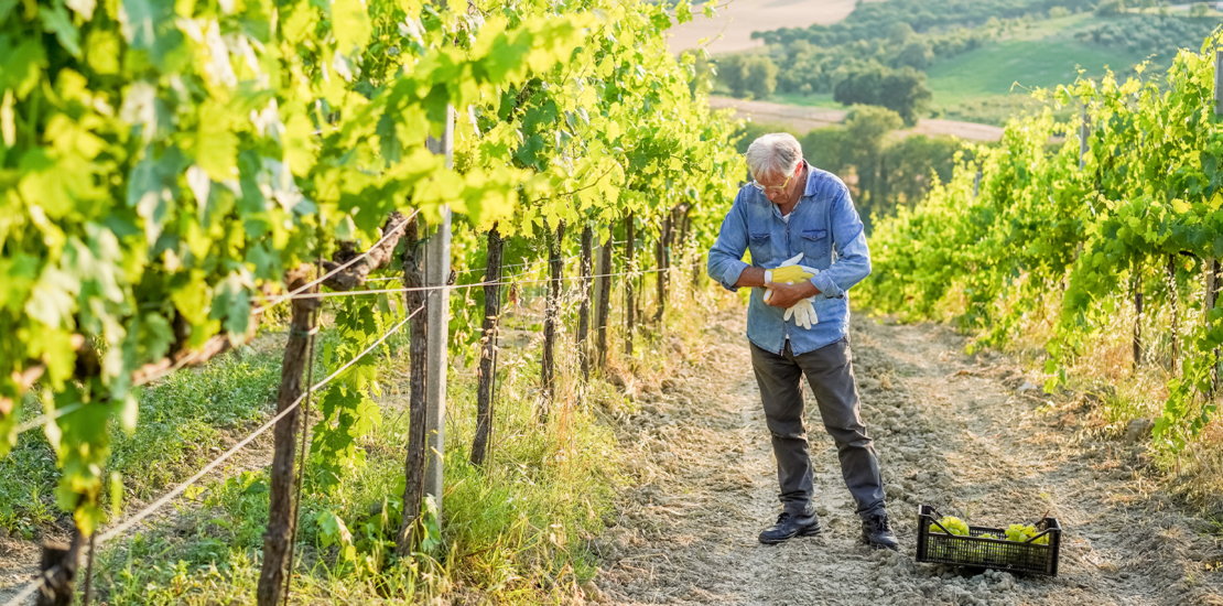 produtores-rurais-ja-estao-obrigados-a-emitir-nf-e