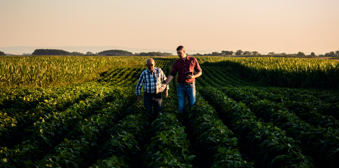 estrategias-tributarias-e-planejamento-tributario-para-o-agronegocio