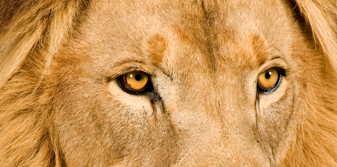 ir-2025:-adiar-entrega-pode-aumentar-valor-da-restituicao?