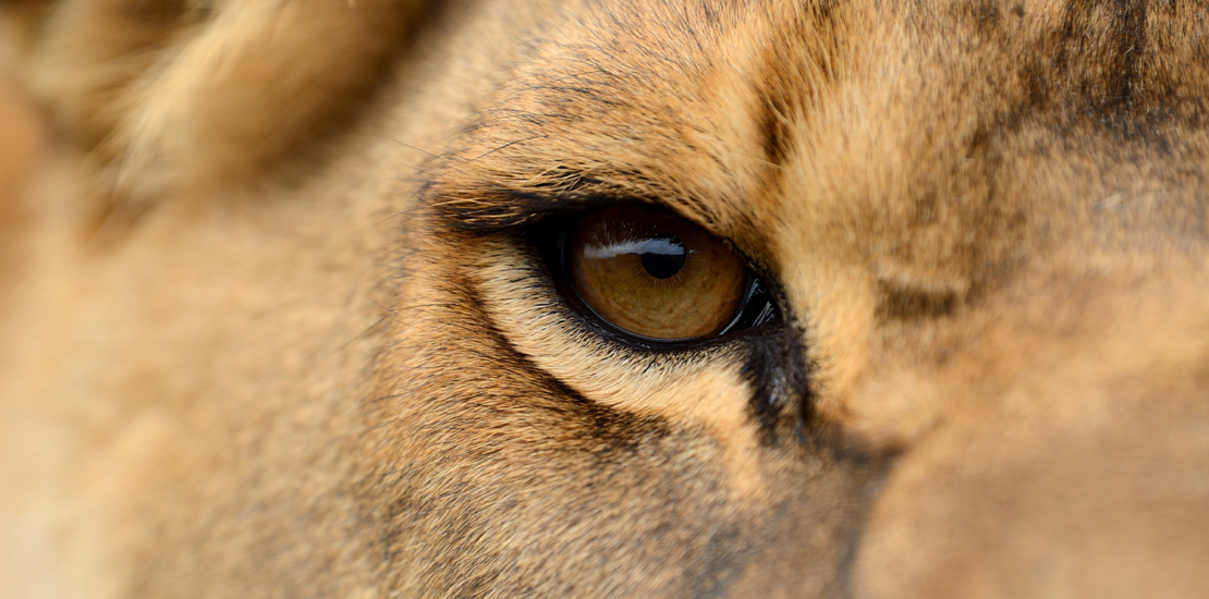 como-aumentar-sua-restituicao-do-imposto-de-renda-2025