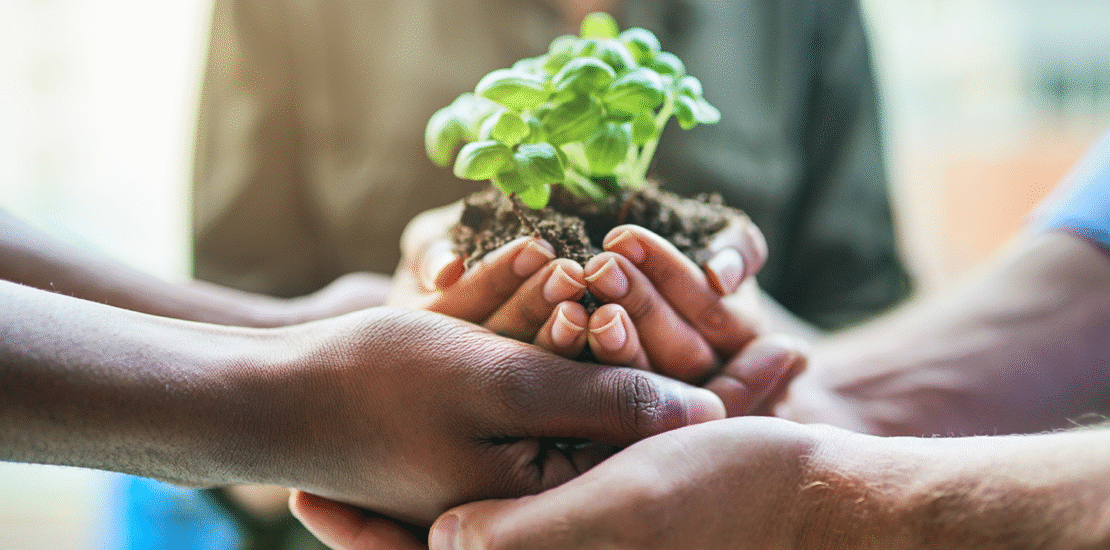 o-papel-do-contador-na-esg-e-na-contabilidade-sustentavel