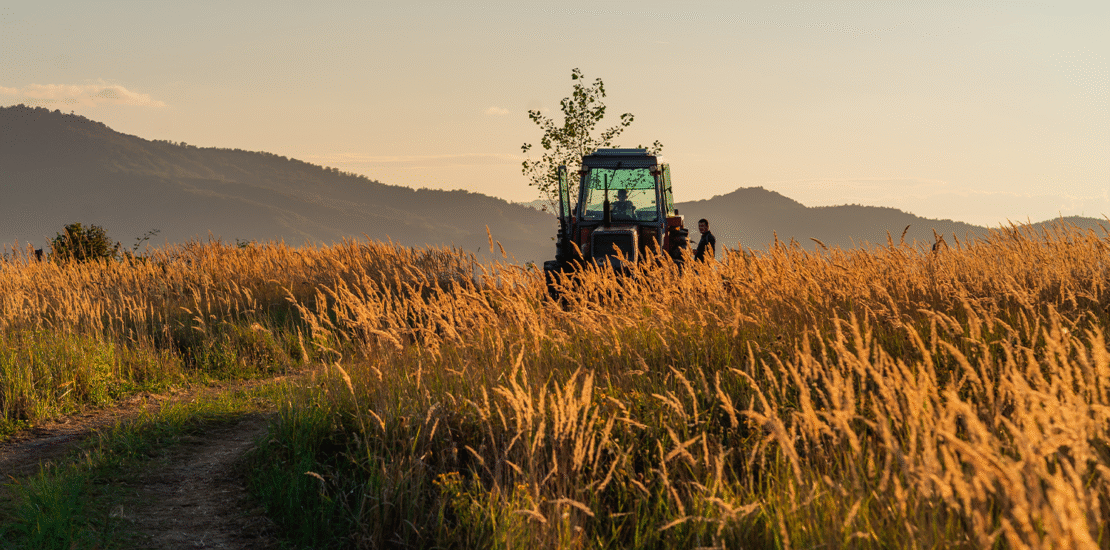 credito-de-carbono-podera-quitar-impostos-agropecuarios