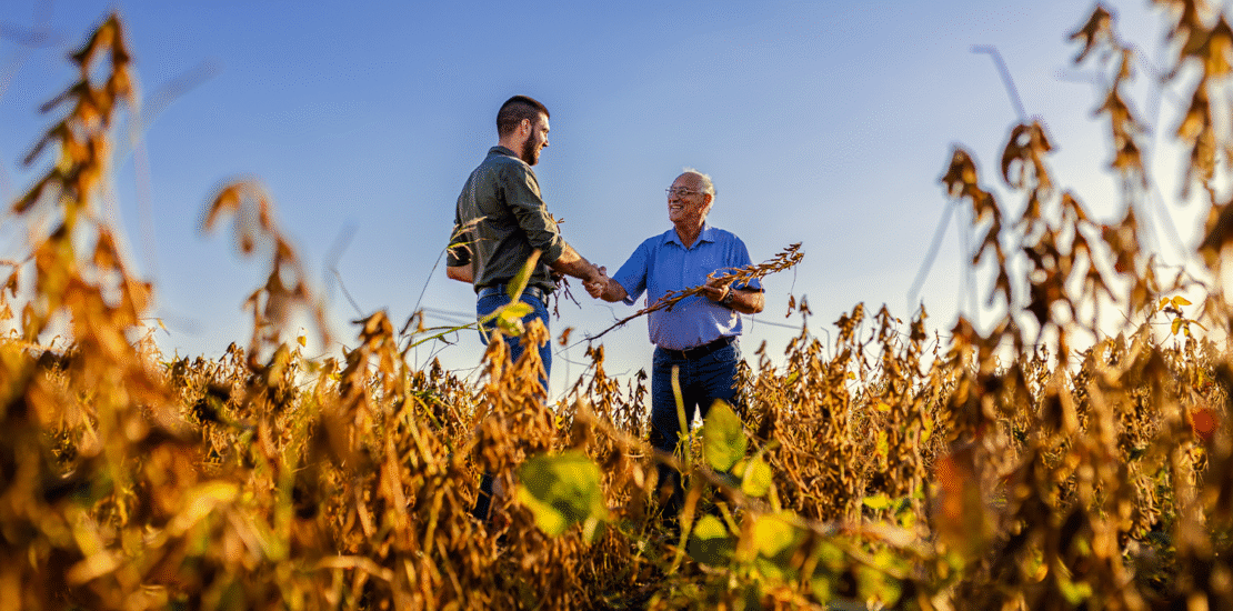 fiis-e-fiagros-nao-pagarao-cbs-e-ibs-apos-veto-ser-derrubado