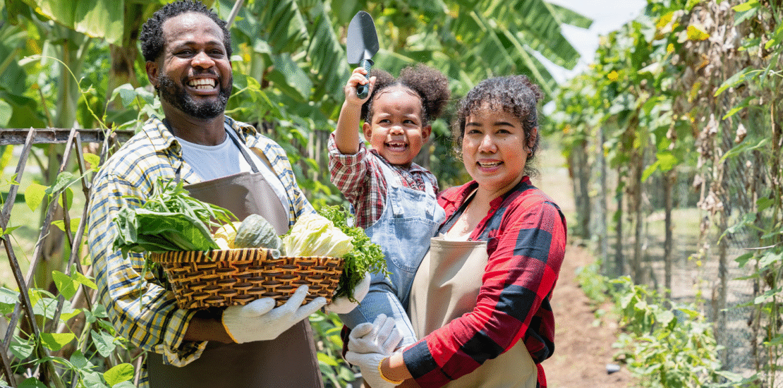 descontos-pronaf:-pgpaf-concede-ate-67%-de-bonus-para-agricultores