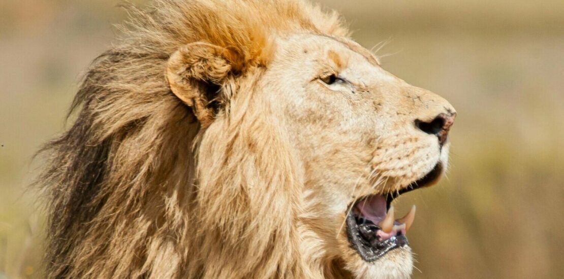 isencao-do-ir-ate-r$-5-mil-avanca-e-faixa-reduzida-sobe-para-r$-7.350