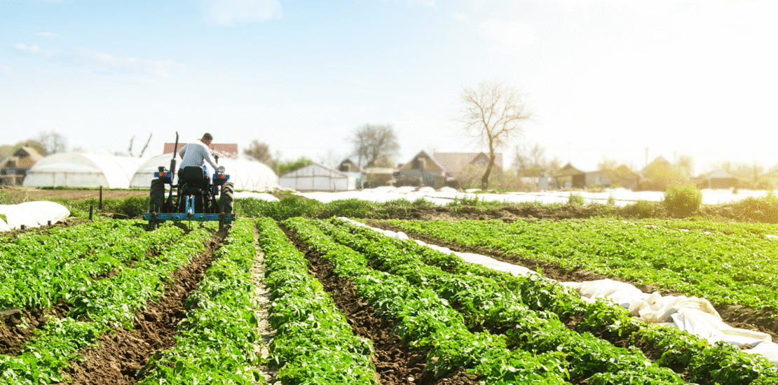 rfb-publica-regras-para-entrega-da-ditr-2025