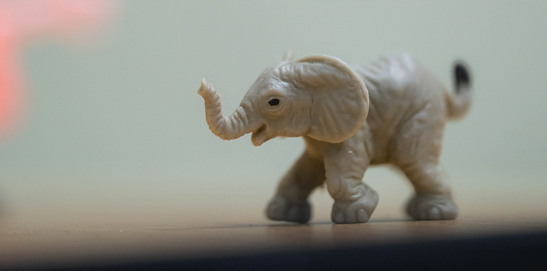 justica-tributaria-ja:-entidades-lancam-projeto-para-pressionar-aprovacao-da-reforma-do-ir