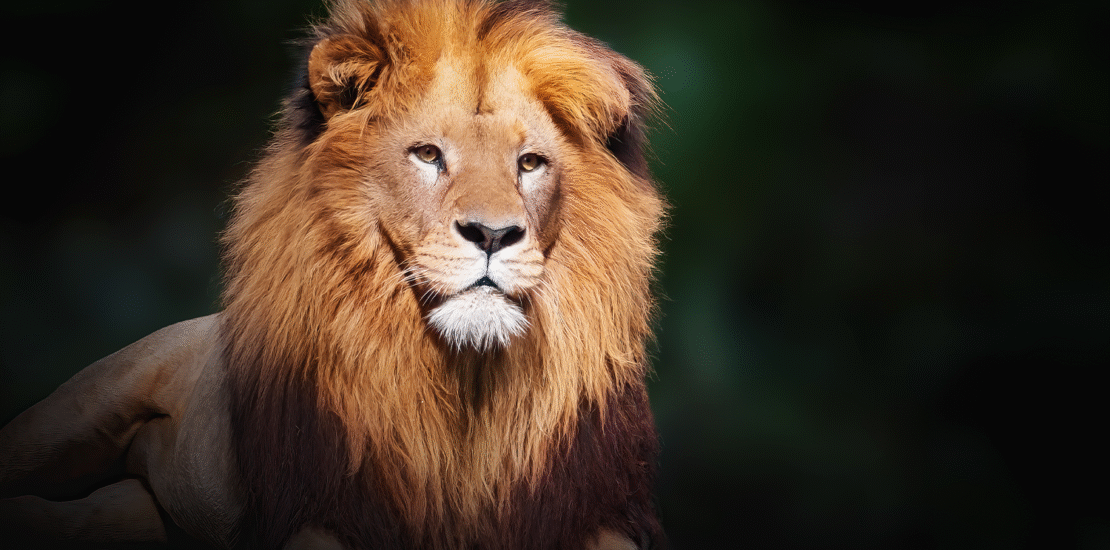 irpf:-cnc-propoe-ajustes-em-projeto-que-eleva-isencao