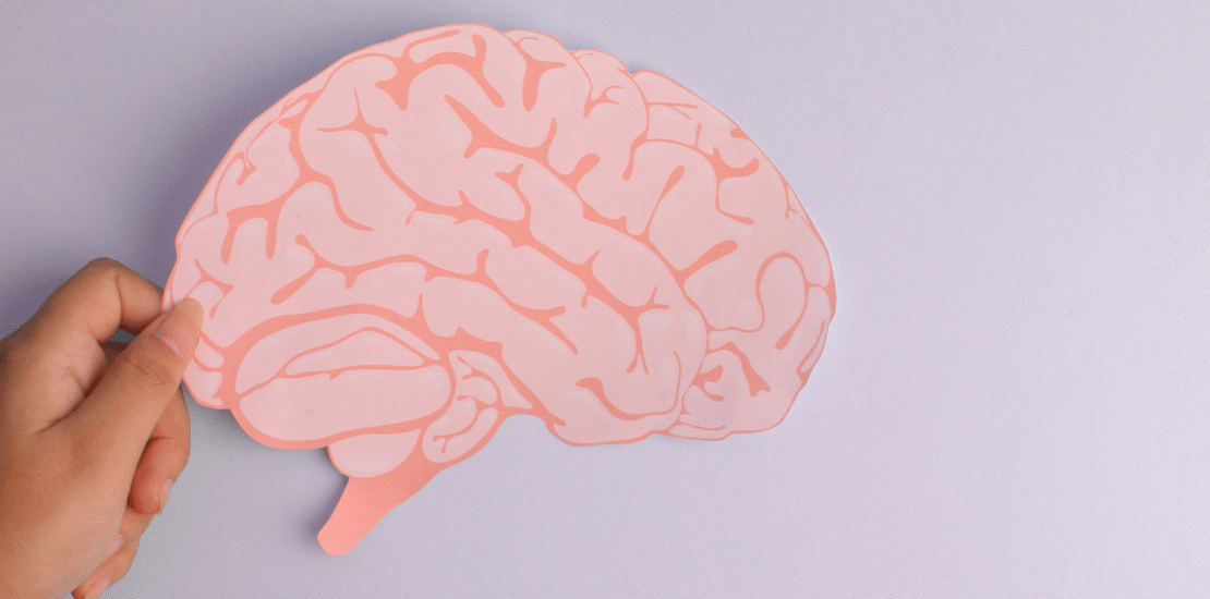 seu-cerebro-contabil-pode-virar-imortal