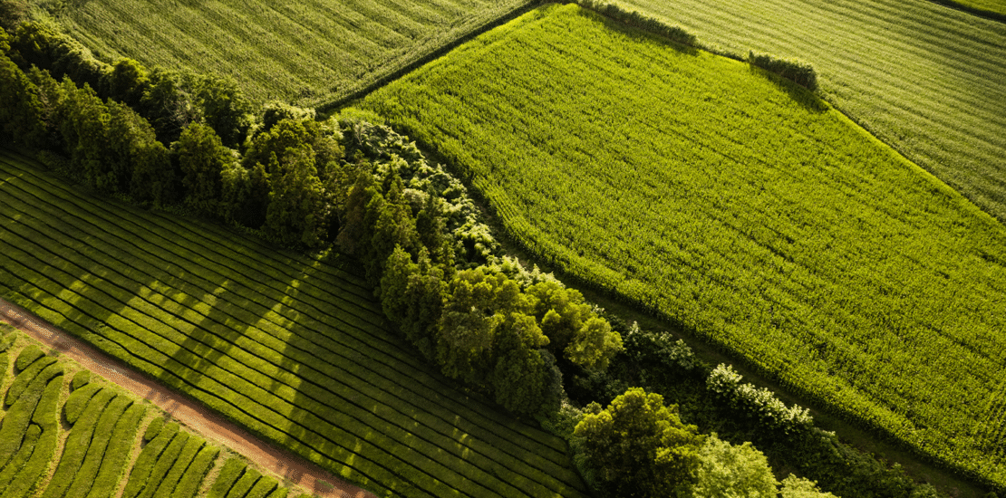 receita-ja-recebeu-1,87-mi-de-declaracoes-do-itr-2025