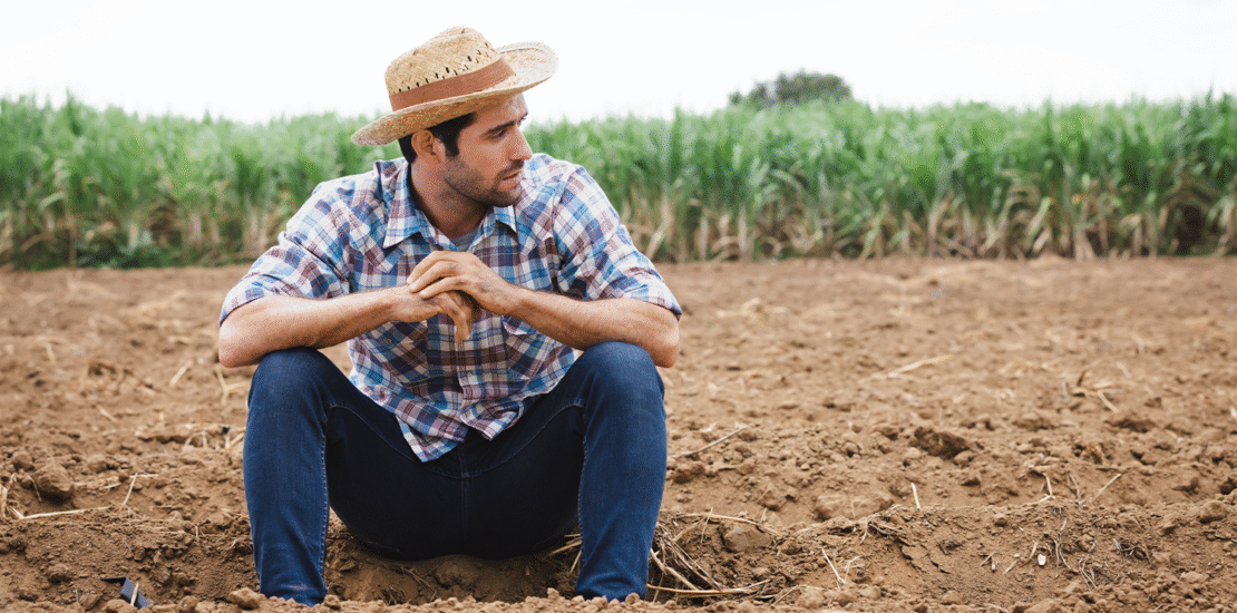 receita-federal-nega-criacao-de-malha-fina-no-itr