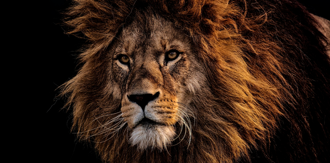 novas-regras-de-isencao-do-imposto-de-renda-ja-estao-valendo