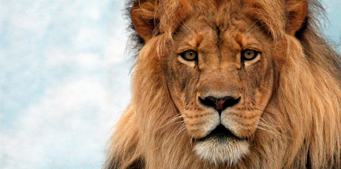 quem-deve-declarar-imposto-de-renda-em-2026?